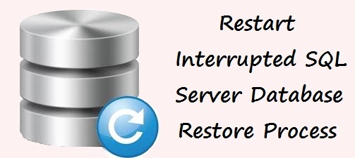 How to Restart an Interrupted SQL Server Database Restore?