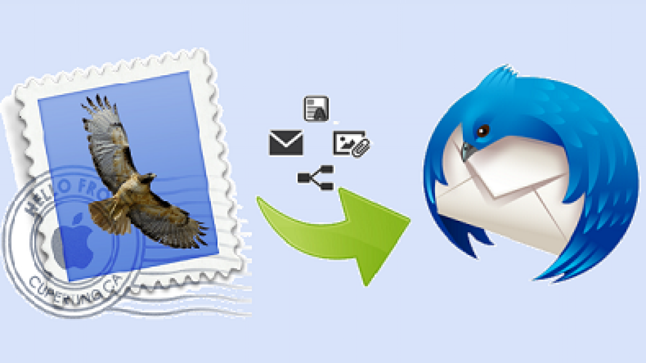 Thunderbird экспорт. Значки электронных почтовых ящиков Thunderbird. Карточка Феликса из ноу еазу из Thunderbird.