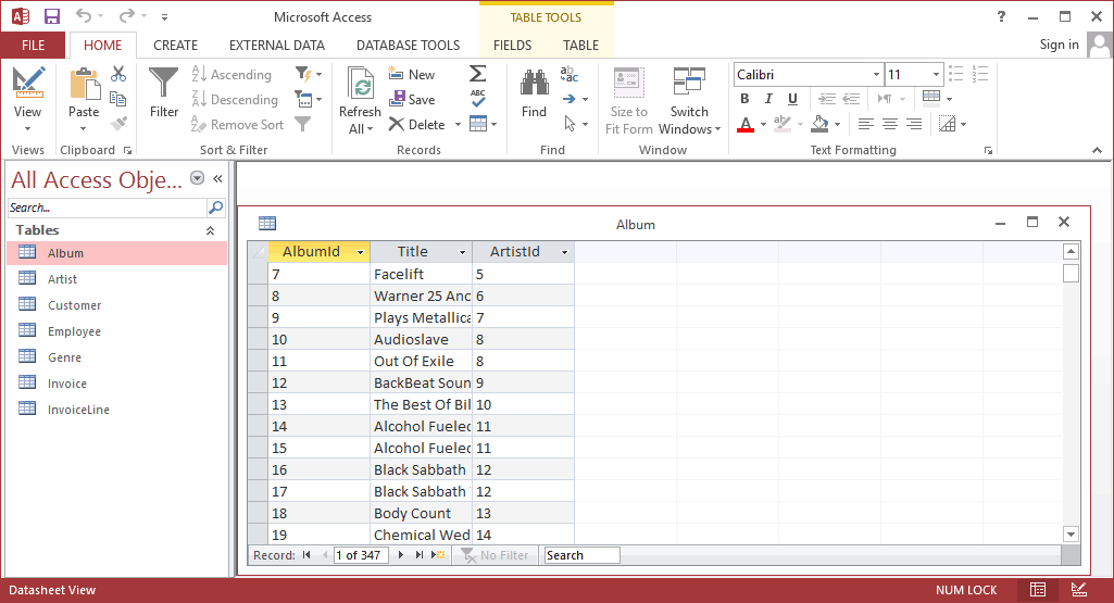 ms access password protect database