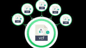 split single vcf to multiple vcf